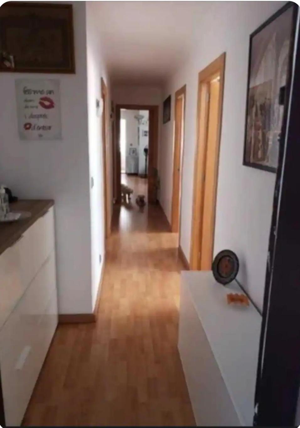 Habitacion Maria Jose Benidorm Eksteriør billede